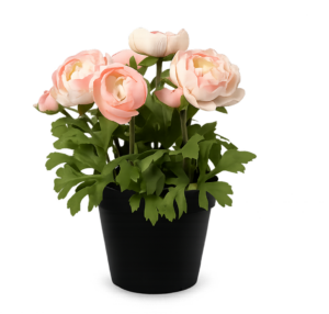 Flower in a pot Ranunculus artificial