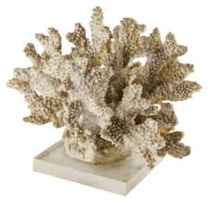 Corals (big)