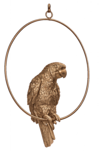Parrot